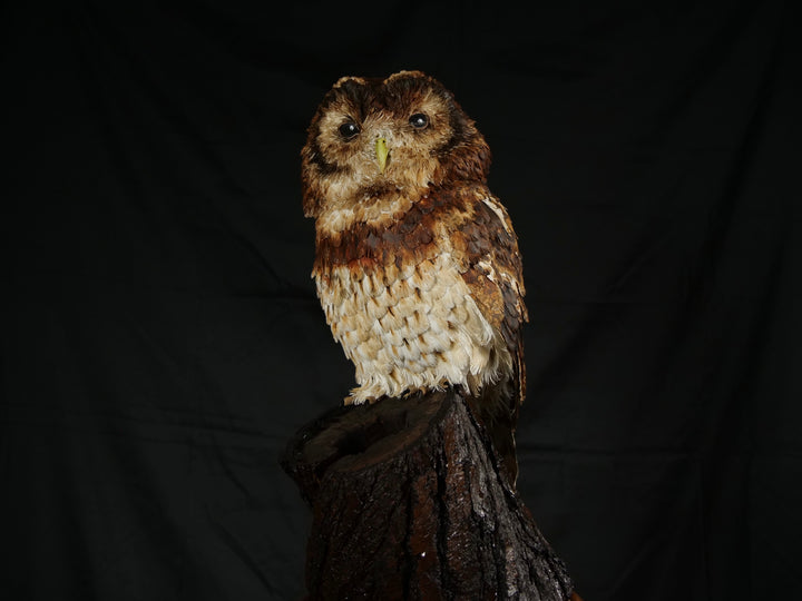 Hyperrealistic paper sculpture of a tawny owl perched on a dark wooden branch, featuring hand-cut brown, tan, and cream plumage with a yellow-green beak, set against a dramatic black backdrop.