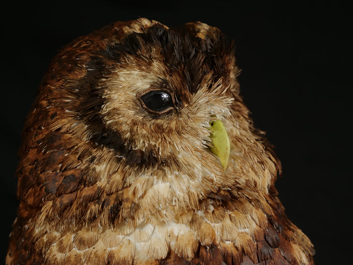 Hyperrealistic paper sculpture of a tawny owl perched on a dark wooden branch, featuring hand-cut brown, tan, and cream plumage with a yellow-green beak, set against a dramatic black backdrop.