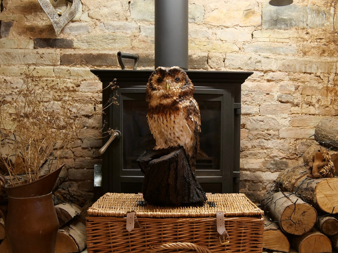 Hyperrealistic paper sculpture of a tawny owl perched on a dark wooden branch, featuring hand-cut brown, tan, and cream plumage with a yellow-green beak, set against a dramatic black backdrop.