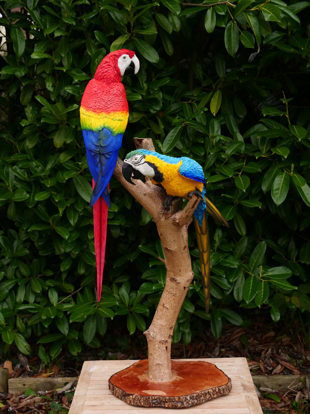 Two exquisitely lifelike macaw sculptures perched on a real wood branch — one in vivid scarlet red with blue and yellow accents, and the other in rich sky blue with golden yellow and green detailing — set against lush green foliage.
