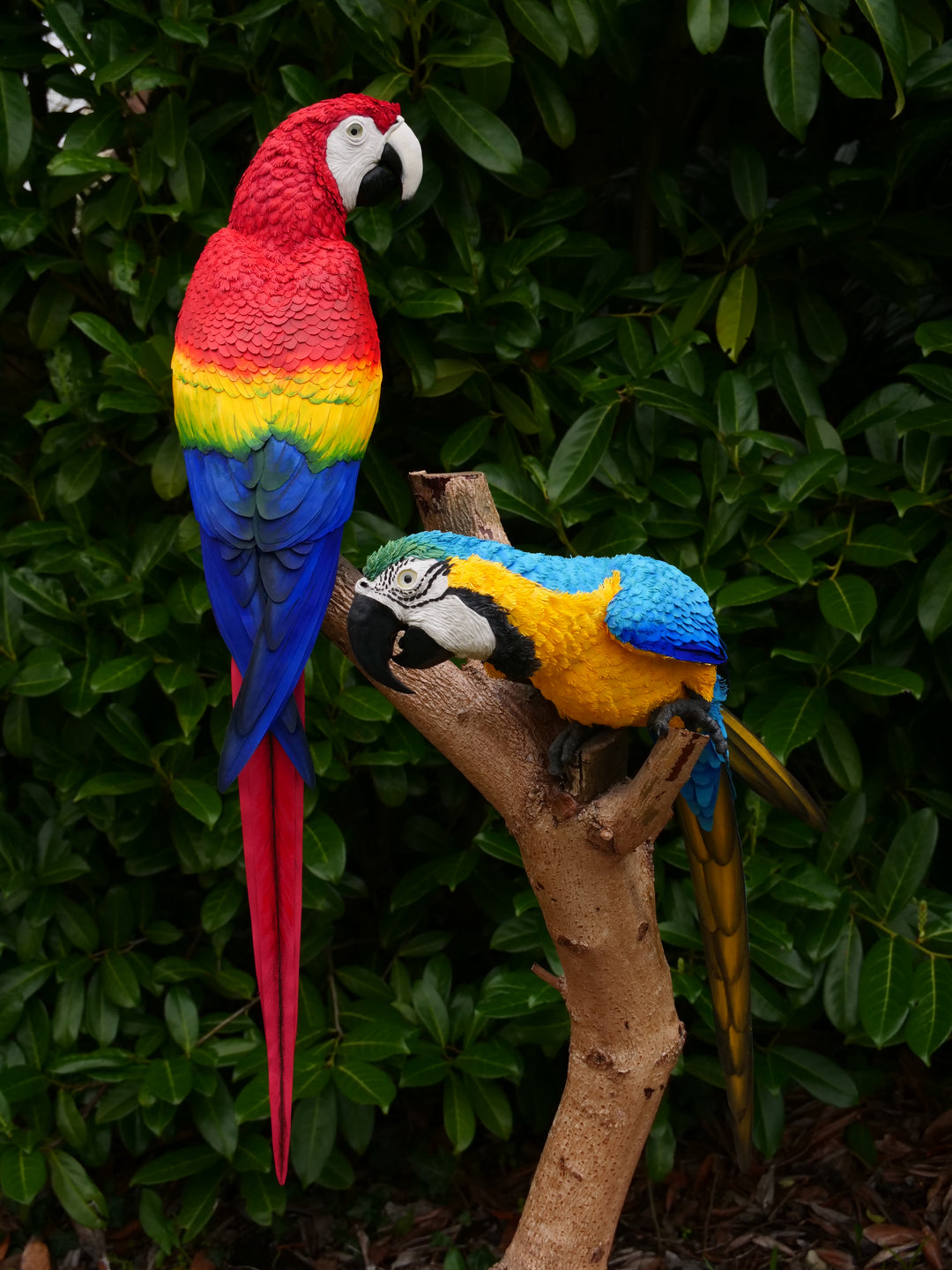 Two exquisitely lifelike macaw sculptures perched on a real wood branch — one in vivid scarlet red with blue and yellow accents, and the other in rich sky blue with golden yellow and green detailing — set against lush green foliage.