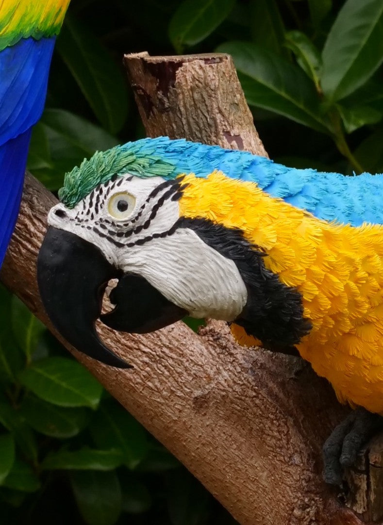 Two exquisitely lifelike macaw sculptures perched on a real wood branch — one in vivid scarlet red with blue and yellow accents, and the other in rich sky blue with golden yellow and green detailing — set against lush green foliage.