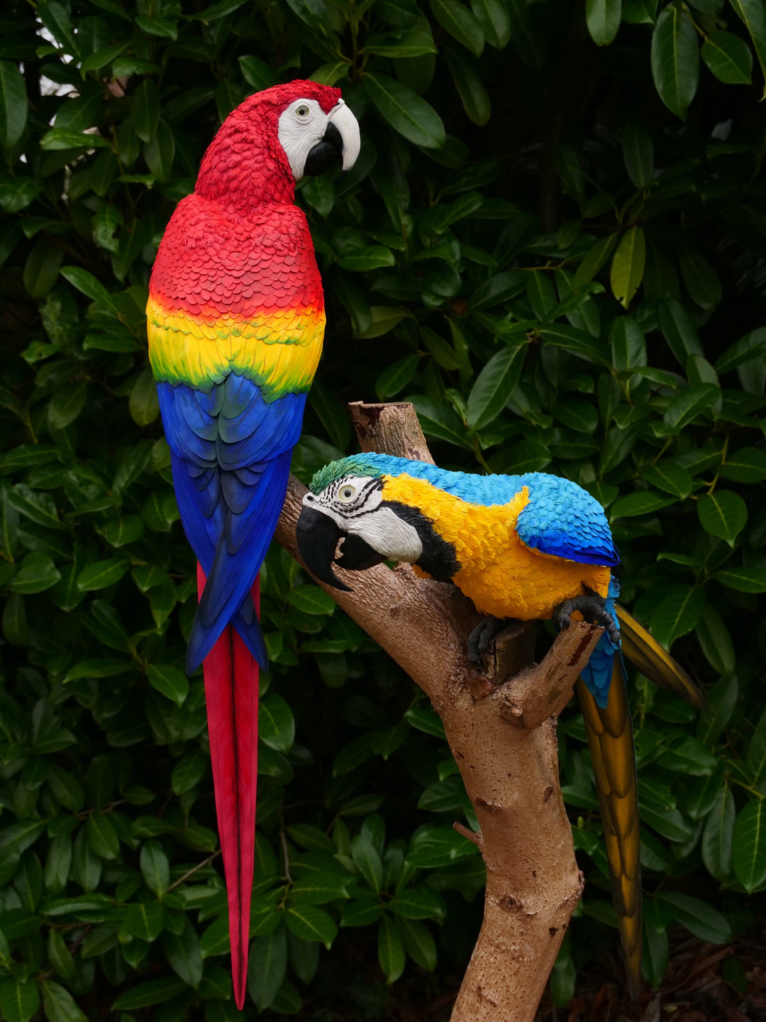 Two exquisitely lifelike macaw sculptures perched on a real wood branch — one in vivid scarlet red with blue and yellow accents, and the other in rich sky blue with golden yellow and green detailing — set against lush green foliage.
