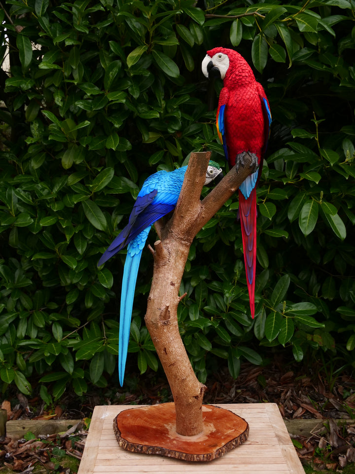 Two exquisitely lifelike macaw sculptures perched on a real wood branch — one in vivid scarlet red with blue and yellow accents, and the other in rich sky blue with golden yellow and green detailing — set against lush green foliage.