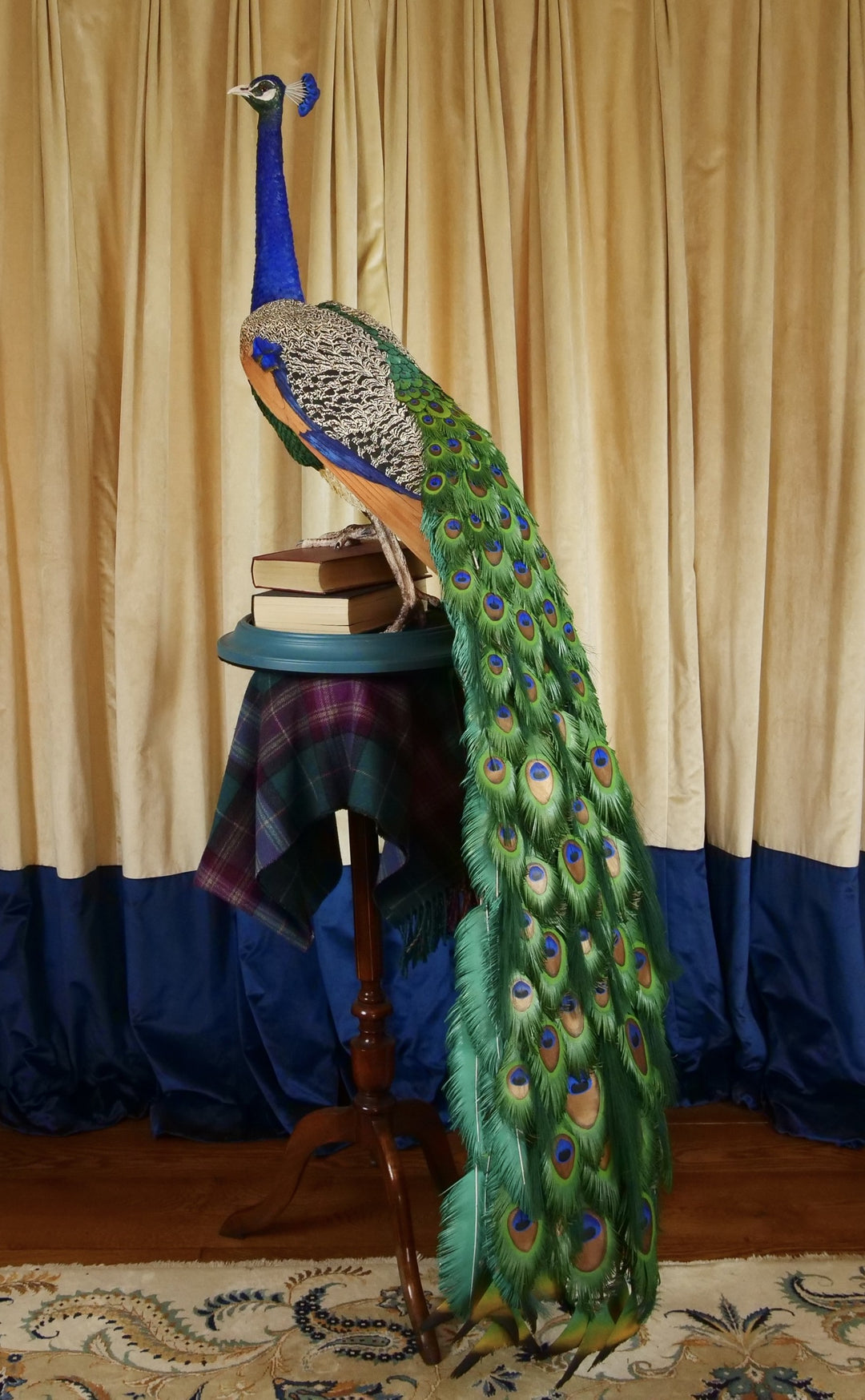Arrogant Beauty by Jamie Lord – a life-size peacock sculpture meticulously crafted from hand-cut, hand-painted 260gsm pastel paper feathers. The peacock stands proudly atop stacked vintage books, its vivid green and blue plumage cascading nearly to the floor. Designed to symbolise pride, intelligence, and transformation, the sculpture features lifelike detail and rich texture, standing 1.75 metres tall and presented against a luxurious interior backdrop.