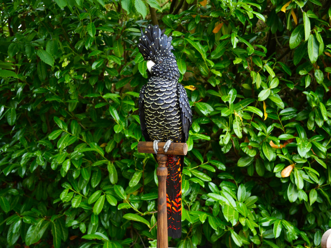 A highly detailed paper sculpture of a Red-tailed Black Cockatoo perched confidently on a wooden post, with jet black plumage dotted in pale yellow and ivory, a curved bone-coloured beak, and bold red-orange tail feathers, set against lush green foliage.