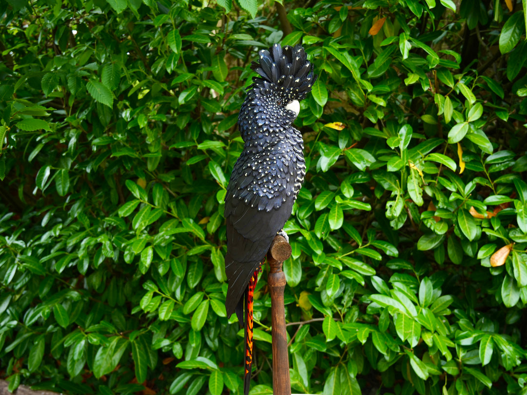 A highly detailed paper sculpture of a Red-tailed Black Cockatoo perched confidently on a wooden post, with jet black plumage dotted in pale yellow and ivory, a curved bone-coloured beak, and bold red-orange tail feathers, set against lush green foliage.