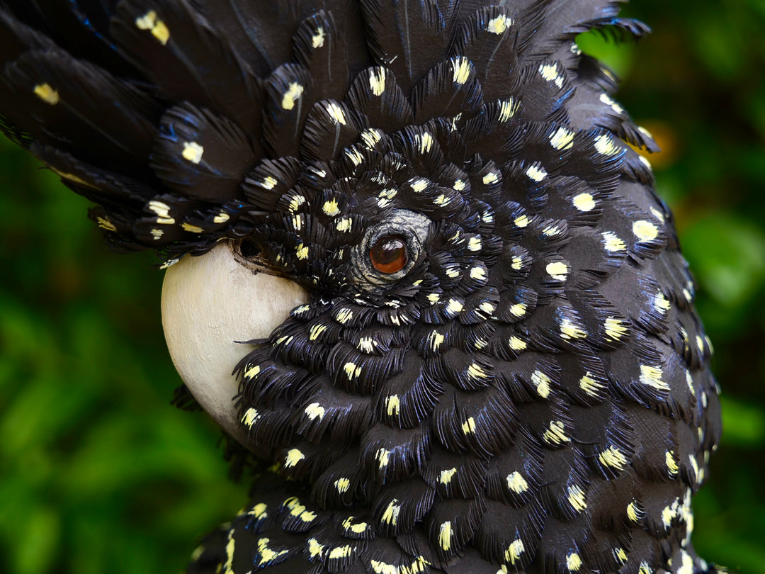 A highly detailed paper sculpture of a Red-tailed Black Cockatoo perched confidently on a wooden post, with jet black plumage dotted in pale yellow and ivory, a curved bone-coloured beak, and bold red-orange tail feathers, set against lush green foliage.