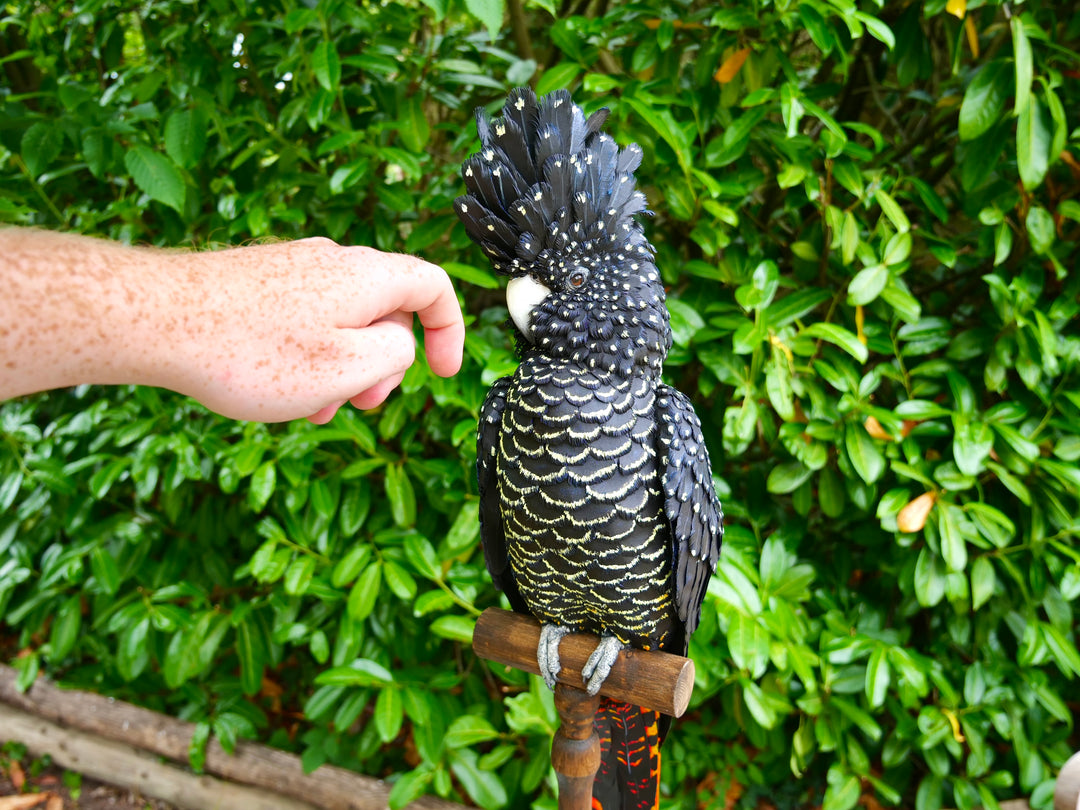 A highly detailed paper sculpture of a Red-tailed Black Cockatoo perched confidently on a wooden post, with jet black plumage dotted in pale yellow and ivory, a curved bone-coloured beak, and bold red-orange tail feathers, set against lush green foliage.