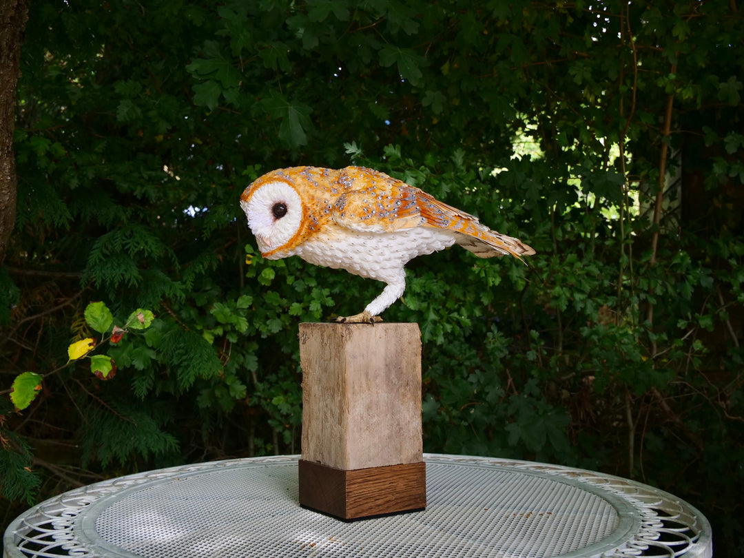 Hyperrealistic sculpture of a barn owl, perched on an oak block with its head gently tilted, featuring intricately layered ivory-white and golden-orange paper feathers with speckled grey detailing, set against a natural woodland backdrop.