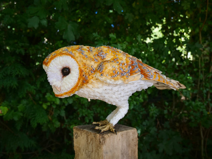 Hyperrealistic sculpture of a barn owl, perched on an oak block with its head gently tilted, featuring intricately layered ivory-white and golden-orange paper feathers with speckled grey detailing, set against a natural woodland backdrop.