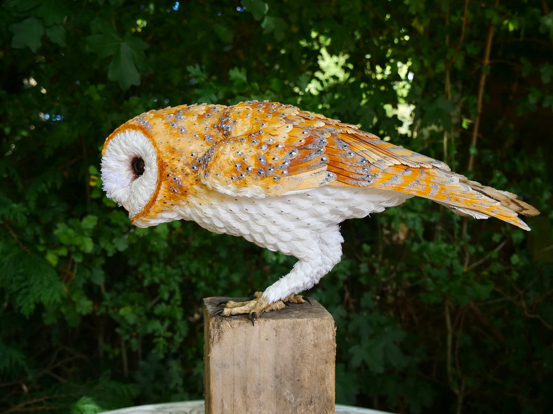 Hyperrealistic sculpture of a barn owl, perched on an oak block with its head gently tilted, featuring intricately layered ivory-white and golden-orange paper feathers with speckled grey detailing, set against a natural woodland backdrop.