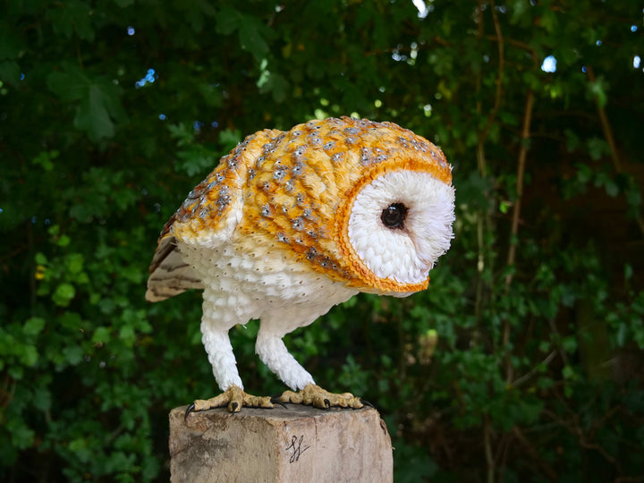 Hyperrealistic sculpture of a barn owl, perched on an oak block with its head gently tilted, featuring intricately layered ivory-white and golden-orange paper feathers with speckled grey detailing, set against a natural woodland backdrop.