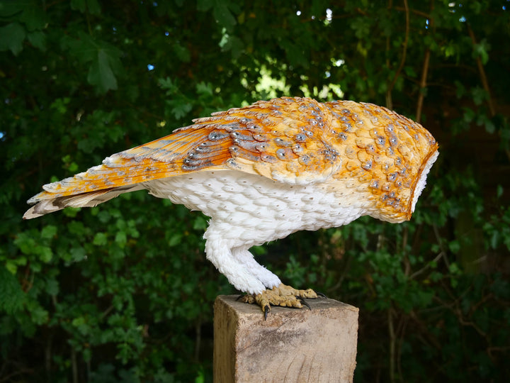 Hyperrealistic sculpture of a barn owl, perched on an oak block with its head gently tilted, featuring intricately layered ivory-white and golden-orange paper feathers with speckled grey detailing, set against a natural woodland backdrop.