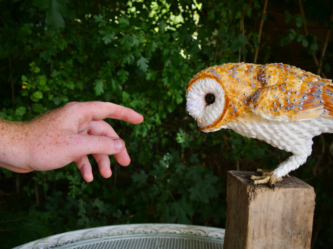 Hyperrealistic sculpture of a barn owl, perched on an oak block with its head gently tilted, featuring intricately layered ivory-white and golden-orange paper feathers with speckled grey detailing, set against a natural woodland backdrop.