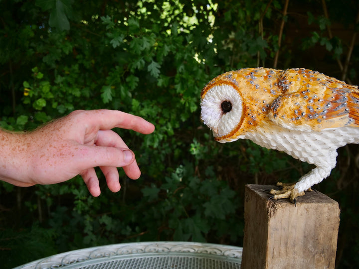 Hyperrealistic sculpture of a barn owl, perched on an oak block with its head gently tilted, featuring intricately layered ivory-white and golden-orange paper feathers with speckled grey detailing, set against a natural woodland backdrop.