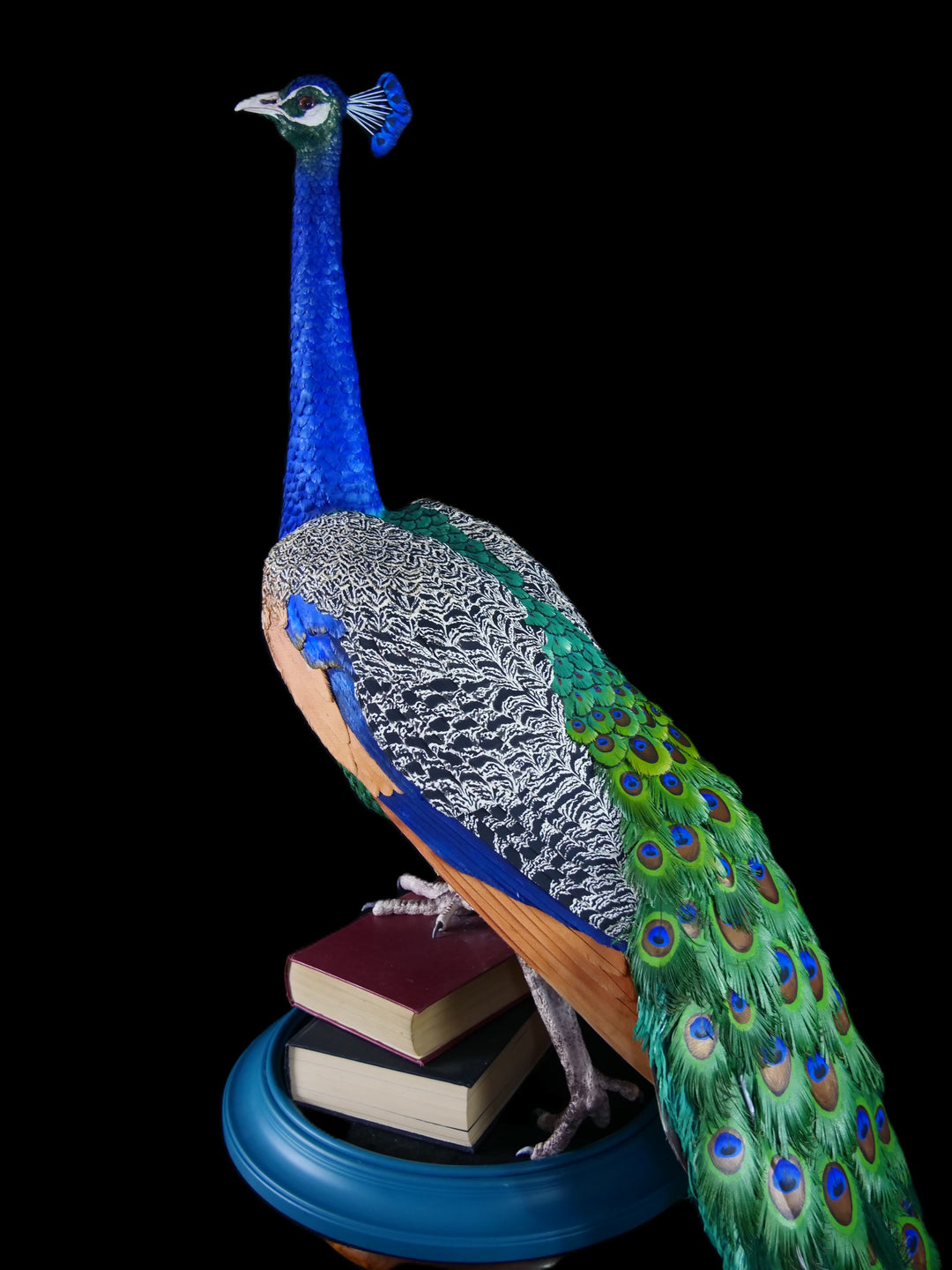 Arrogant Beauty by Jamie Lord – a life-size peacock sculpture meticulously crafted from hand-cut, hand-painted 260gsm pastel paper feathers. The peacock stands proudly atop stacked vintage books, its vivid green and blue plumage cascading nearly to the floor. Designed to symbolise pride, intelligence, and transformation, the sculpture features lifelike detail and rich texture, standing 1.75 metres tall and presented against a black backdrop.