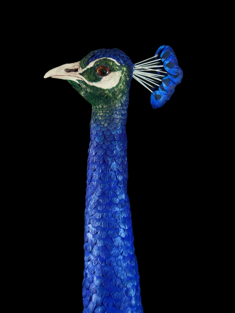 Arrogant Beauty by Jamie Lord – a life-size peacock sculpture meticulously crafted from hand-cut, hand-painted 260gsm pastel paper feathers. The peacock stands proudly atop stacked vintage books, its vivid green and blue plumage cascading nearly to the floor. Designed to symbolise pride, intelligence, and transformation, the sculpture features lifelike detail and rich texture, standing 1.75 metres tall and presented against a black backdrop.
