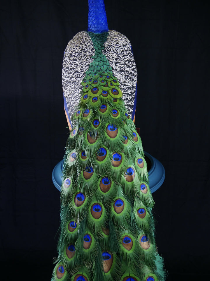 Arrogant Beauty by Jamie Lord – a life-size peacock sculpture meticulously crafted from hand-cut, hand-painted 260gsm pastel paper feathers. The peacock stands proudly atop stacked vintage books, its vivid green and blue plumage cascading nearly to the floor. Designed to symbolise pride, intelligence, and transformation, the sculpture features lifelike detail and rich texture, standing 1.75 metres tall and presented against a black backdrop.