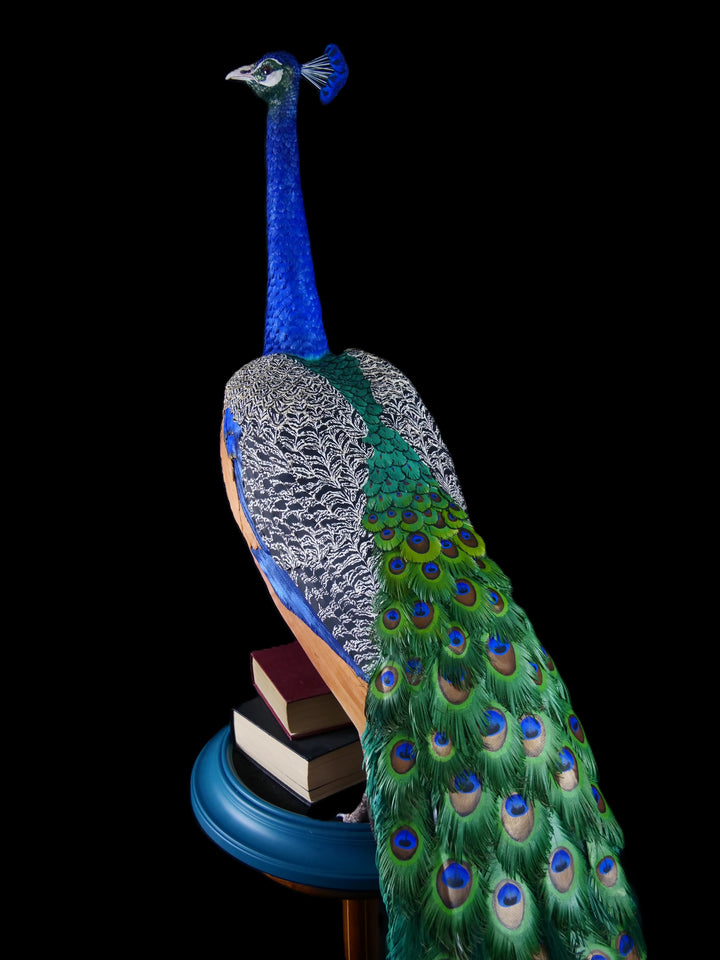 Arrogant Beauty by Jamie Lord – a life-size peacock sculpture meticulously crafted from hand-cut, hand-painted 260gsm pastel paper feathers. The peacock stands proudly atop stacked vintage books, its vivid green and blue plumage cascading nearly to the floor. Designed to symbolise pride, intelligence, and transformation, the sculpture features lifelike detail and rich texture, standing 1.75 metres tall and presented against a black backdrop.