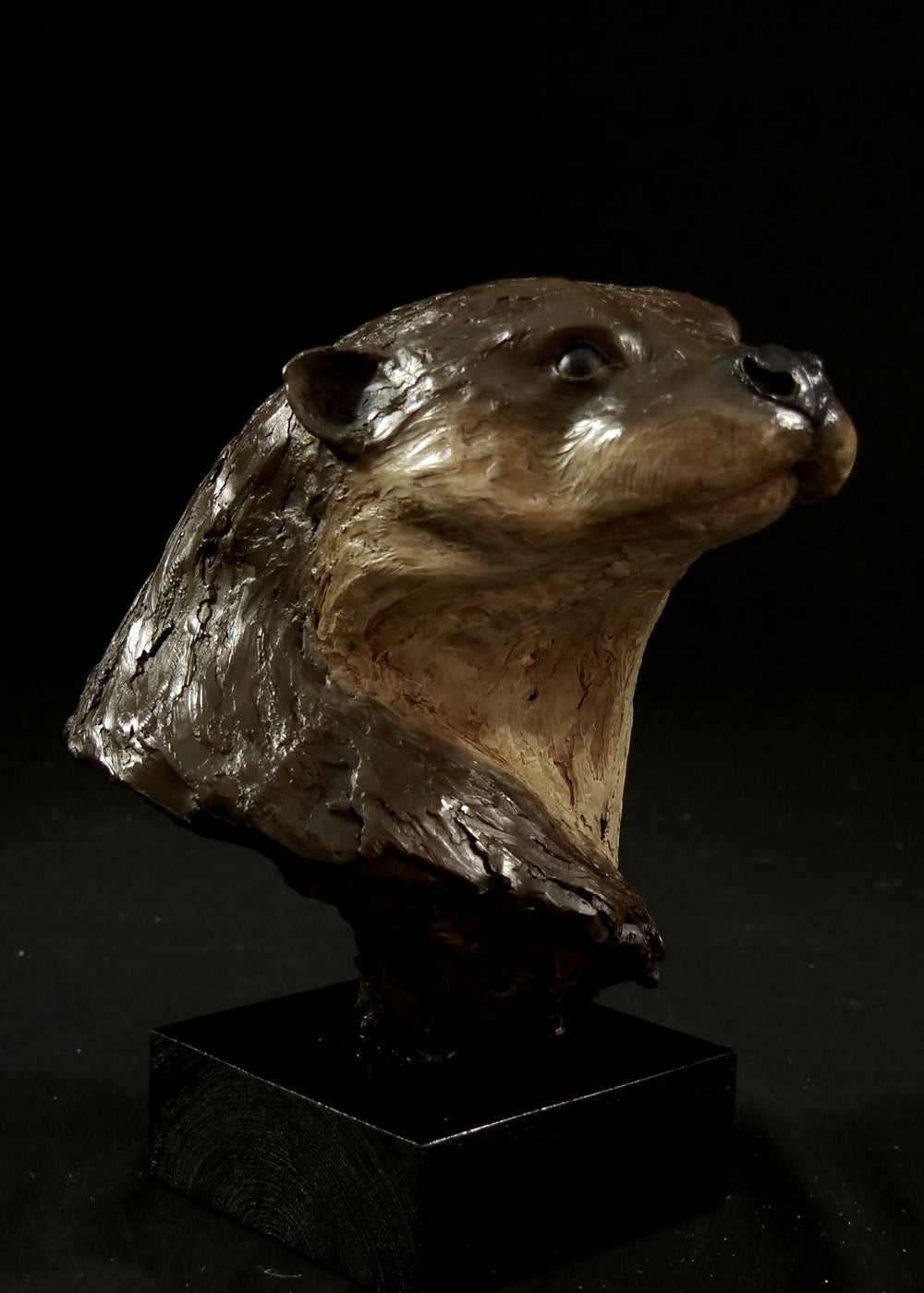 Cold cast stone sculpture of an otter head and neck titled Hindsight by Jamie Lord — finely detailed bust with sleek, sinuous form, warm brown fur tones, dark glassy eyes and alert, turned-back pose. Limited edition of 24 with signed Certificate of Authenticity.