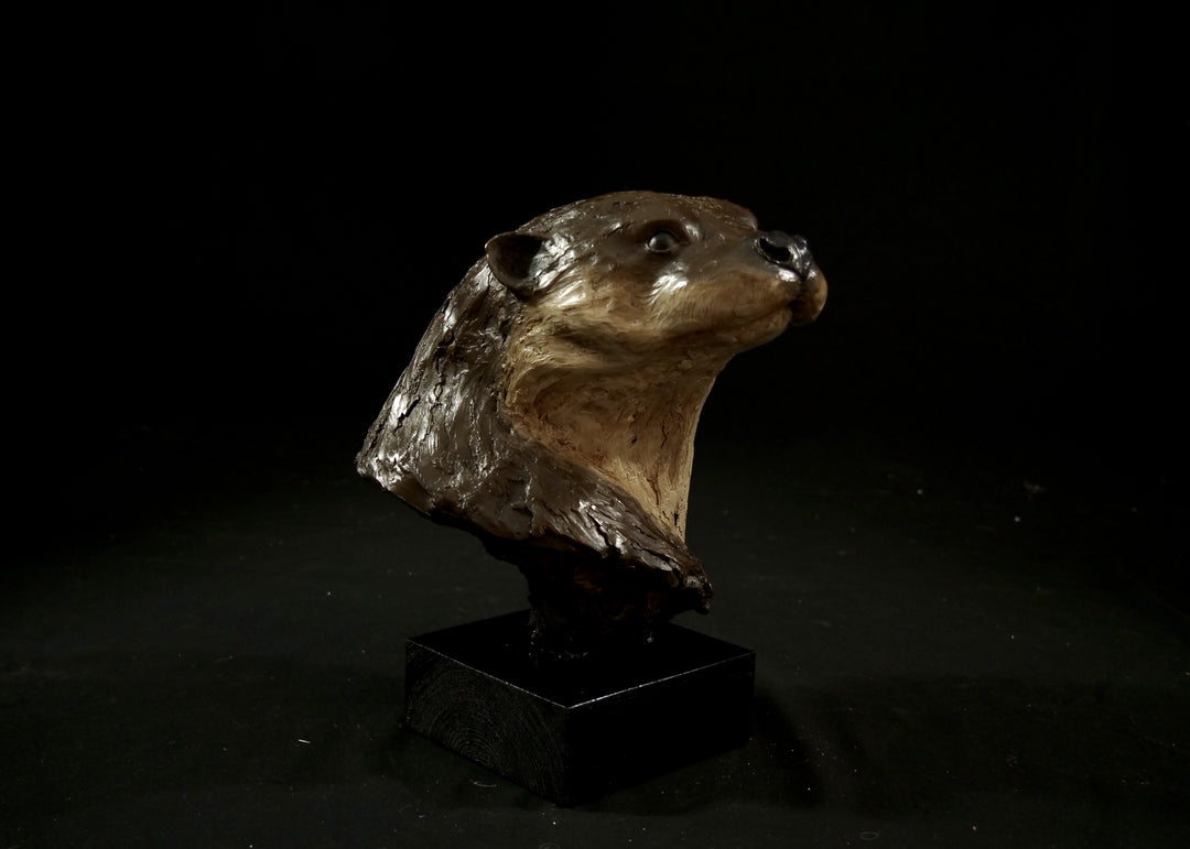 Cold cast stone sculpture of an otter head and neck titled Hindsight by Jamie Lord — finely detailed bust with sleek, sinuous form, warm brown fur tones, dark glassy eyes and alert, turned-back pose. Limited edition of 24 with signed Certificate of Authenticity.