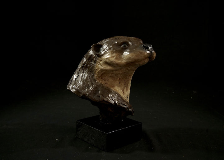 Cold cast stone sculpture of an otter head and neck titled Hindsight by Jamie Lord — finely detailed bust with sleek, sinuous form, warm brown fur tones, dark glassy eyes and alert, turned-back pose. Limited edition of 24 with signed Certificate of Authenticity.