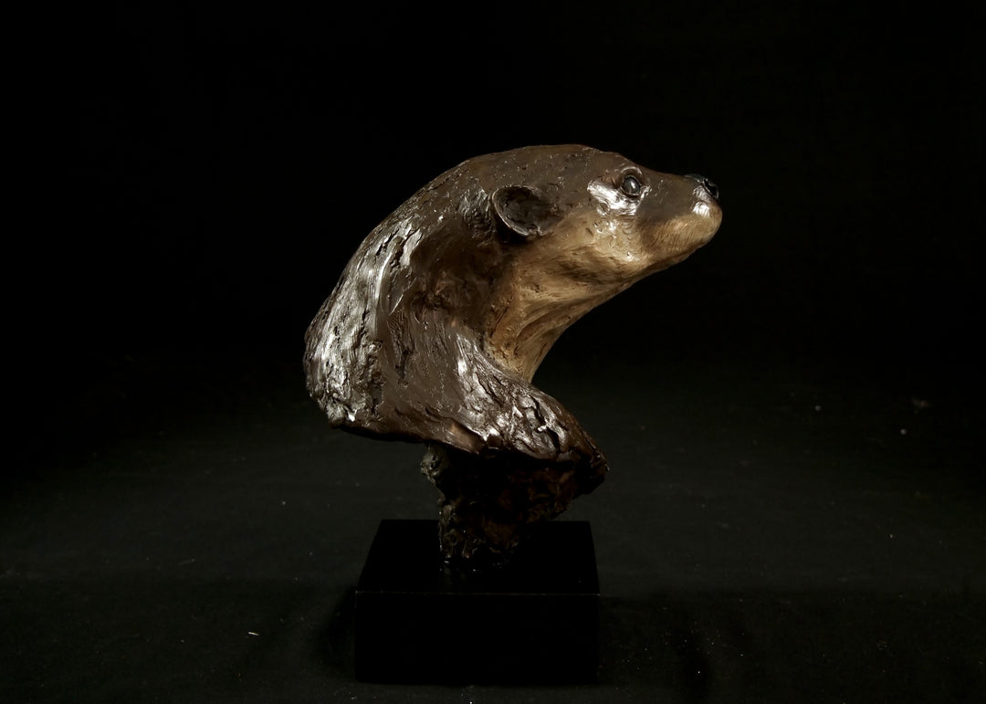 Cold cast stone sculpture of an otter head and neck titled Hindsight by Jamie Lord — finely detailed bust with sleek, sinuous form, warm brown fur tones, dark glassy eyes and alert, turned-back pose. Limited edition of 24 with signed Certificate of Authenticity.