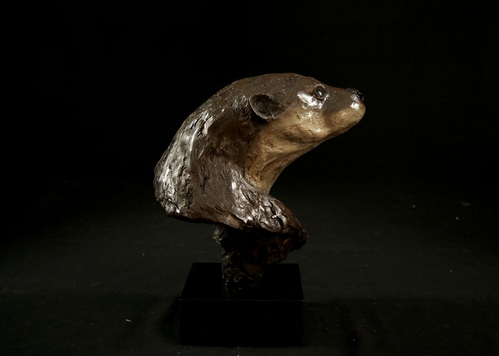 Cold cast stone sculpture of an otter head and neck titled Hindsight by Jamie Lord — finely detailed bust with sleek, sinuous form, warm brown fur tones, dark glassy eyes and alert, turned-back pose. Limited edition of 24 with signed Certificate of Authenticity.