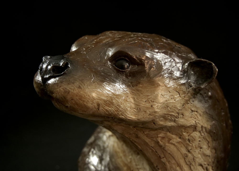 Cold cast stone sculpture of an otter head and neck titled Hindsight by Jamie Lord — finely detailed bust with sleek, sinuous form, warm brown fur tones, dark glassy eyes and alert, turned-back pose. Limited edition of 24 with signed Certificate of Authenticity.