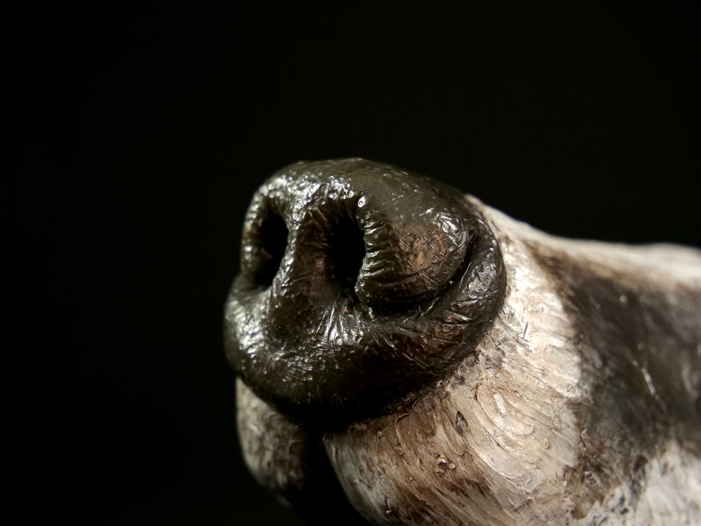 Cold cast slate sculpture of a badger titled Remnant by Jamie Lord — expressive woodland animal bust with textured black-and-grey fur, soft white facial markings, and an upward, reflective gaze. Limited edition of 12 with signed Certificate of Authenticity.