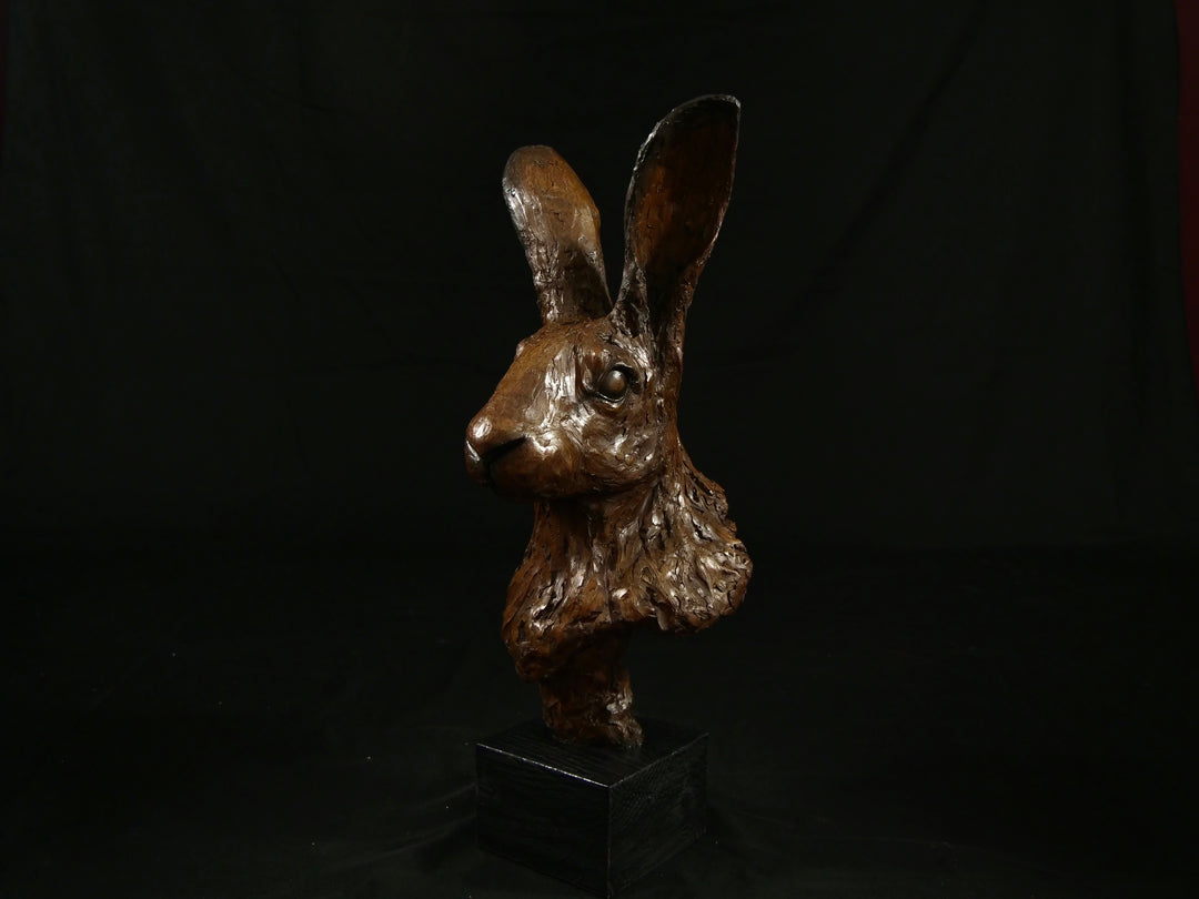Cold cast bronze sculpture of a hare titled Aurora by Jamie Lord — finely detailed woodland animal bust with upright alert ears, rich earthy bronze surface and textured fur. Limited edition of 12 (also available in cast marble), signed and certified.