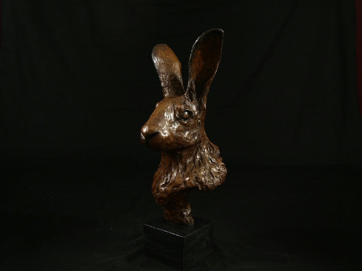 Cold cast bronze sculpture of a hare titled Aurora by Jamie Lord — finely detailed woodland animal bust with upright alert ears, rich earthy bronze surface and textured fur. Limited edition of 12 (also available in cast marble), signed and certified.