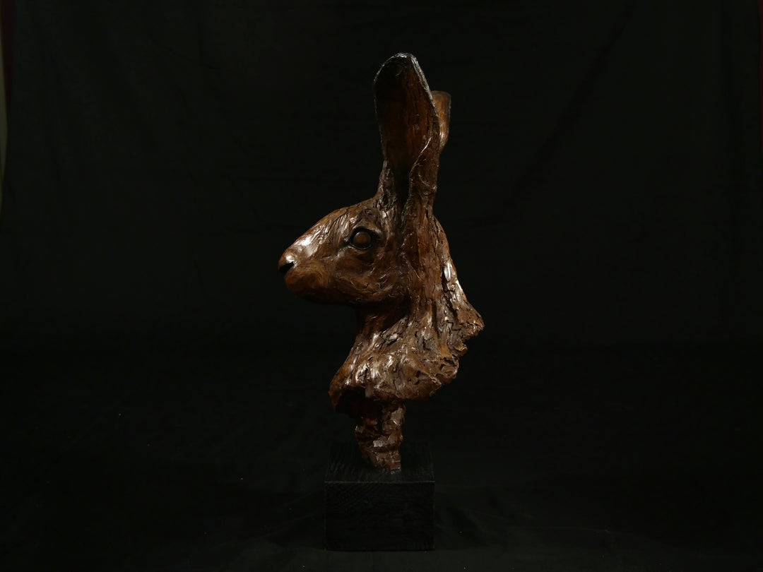 Cold cast bronze sculpture of a hare titled Aurora by Jamie Lord — finely detailed woodland animal bust with upright alert ears, rich earthy bronze surface and textured fur. Limited edition of 12 (also available in cast marble), signed and certified.
