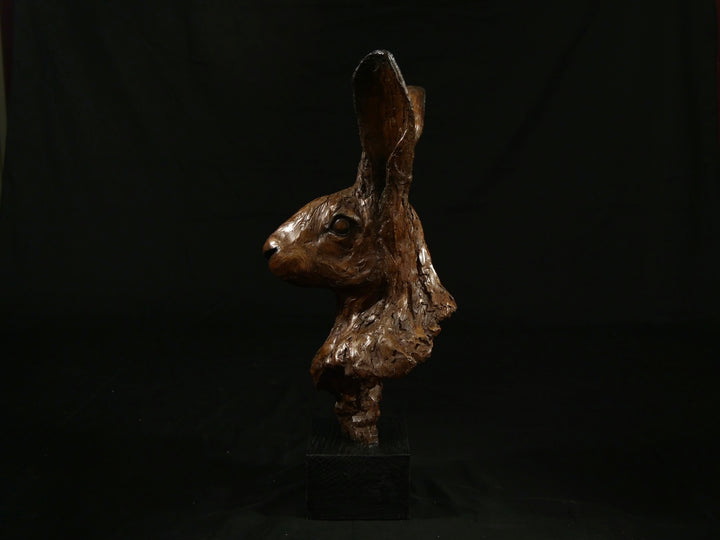 Cold cast bronze sculpture of a hare titled Aurora by Jamie Lord — finely detailed woodland animal bust with upright alert ears, rich earthy bronze surface and textured fur. Limited edition of 12 (also available in cast marble), signed and certified.