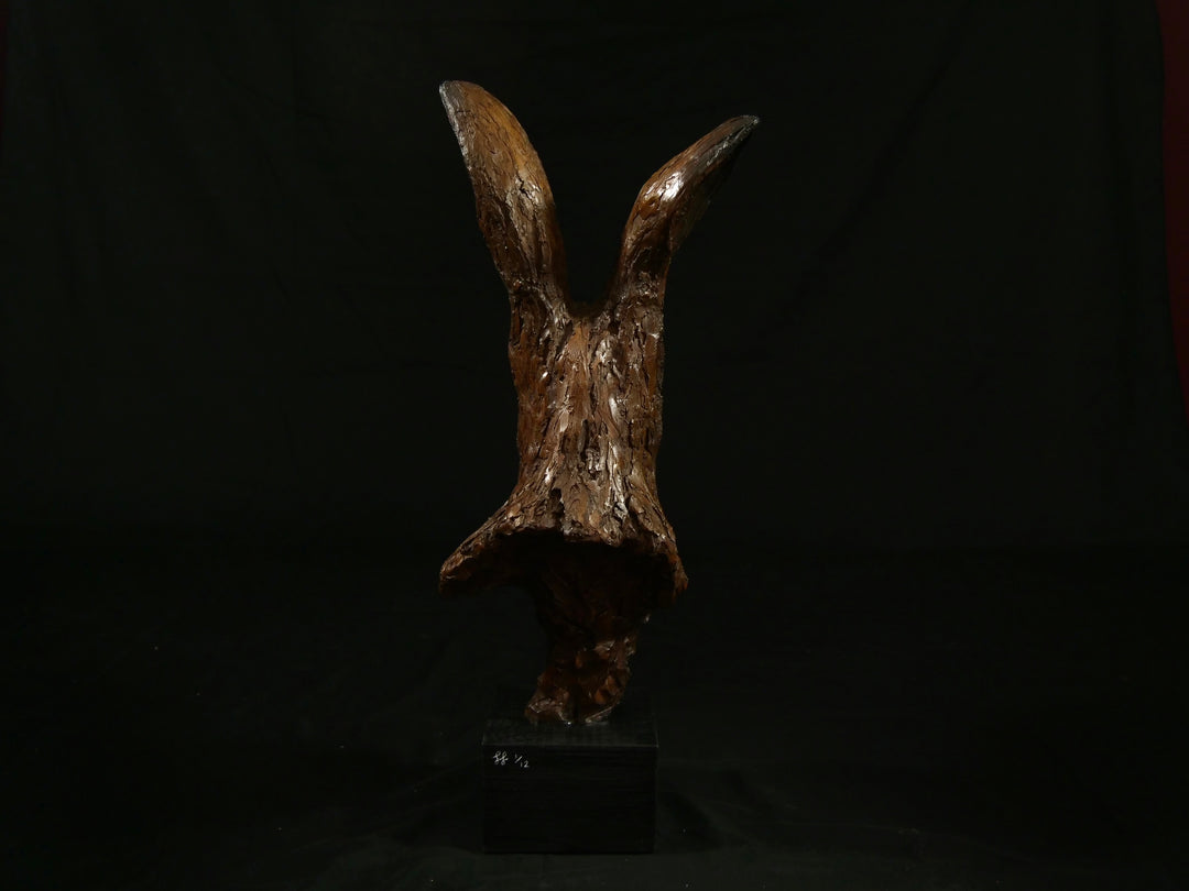 Cold cast bronze sculpture of a hare titled Aurora by Jamie Lord — finely detailed woodland animal bust with upright alert ears, rich earthy bronze surface and textured fur. Limited edition of 12 (also available in cast marble), signed and certified.