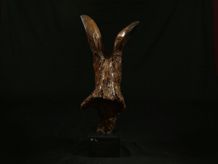 Cold cast bronze sculpture of a hare titled Aurora by Jamie Lord — finely detailed woodland animal bust with upright alert ears, rich earthy bronze surface and textured fur. Limited edition of 12 (also available in cast marble), signed and certified.