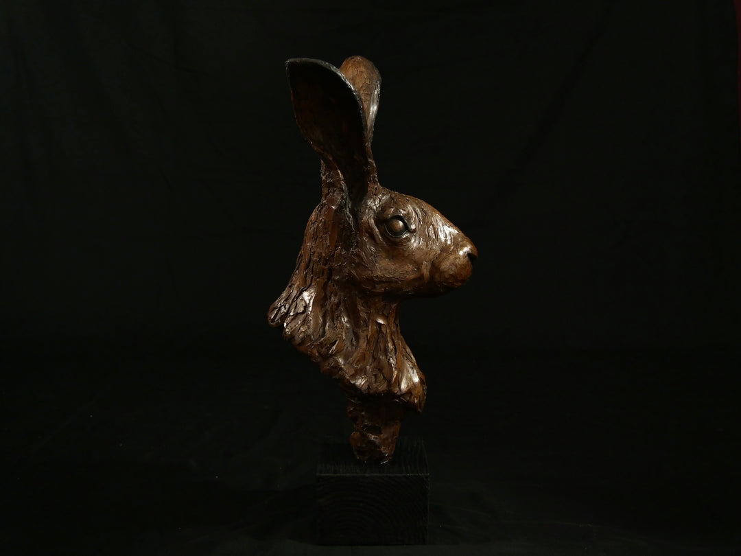 Cold cast bronze sculpture of a hare titled Aurora by Jamie Lord — finely detailed woodland animal bust with upright alert ears, rich earthy bronze surface and textured fur. Limited edition of 12 (also available in cast marble), signed and certified.