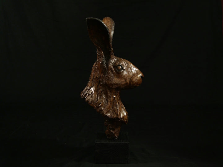 Cold cast bronze sculpture of a hare titled Aurora by Jamie Lord — finely detailed woodland animal bust with upright alert ears, rich earthy bronze surface and textured fur. Limited edition of 12 (also available in cast marble), signed and certified.