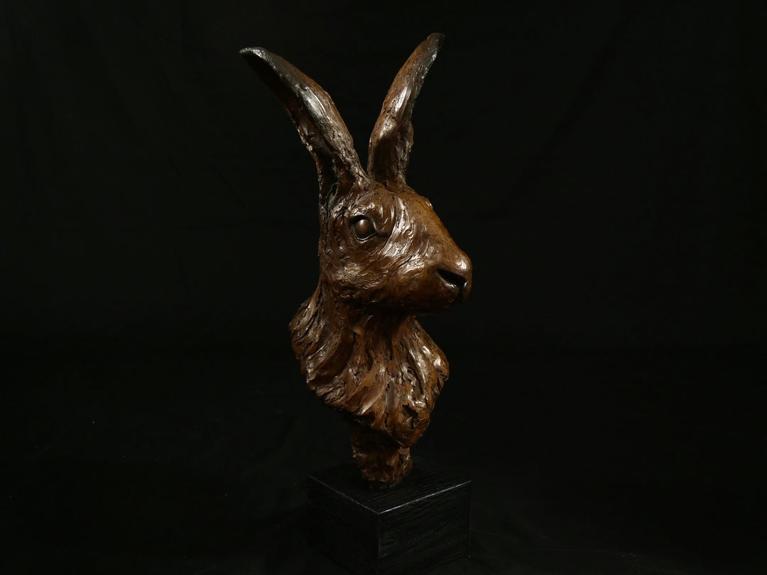 Cold cast bronze sculpture of a hare titled Aurora by Jamie Lord — finely detailed woodland animal bust with upright alert ears, rich earthy bronze surface and textured fur. Limited edition of 12 (also available in cast marble), signed and certified.