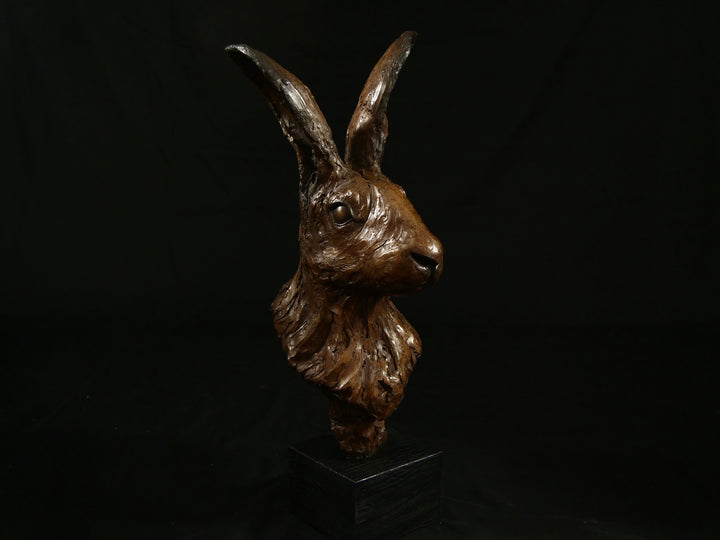 Cold cast bronze sculpture of a hare titled Aurora by Jamie Lord — finely detailed woodland animal bust with upright alert ears, rich earthy bronze surface and textured fur. Limited edition of 12 (also available in cast marble), signed and certified.