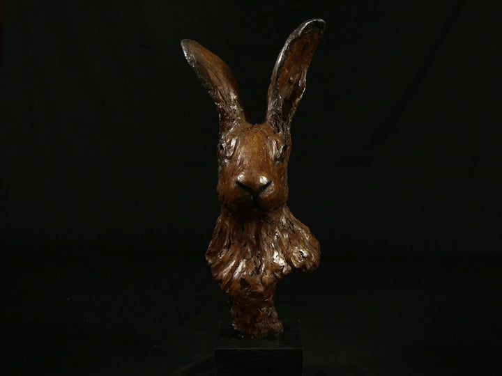 Cold cast bronze sculpture of a hare titled Aurora by Jamie Lord — finely detailed woodland animal bust with upright alert ears, rich earthy bronze surface and textured fur. Limited edition of 12 (also available in cast marble), signed and certified.