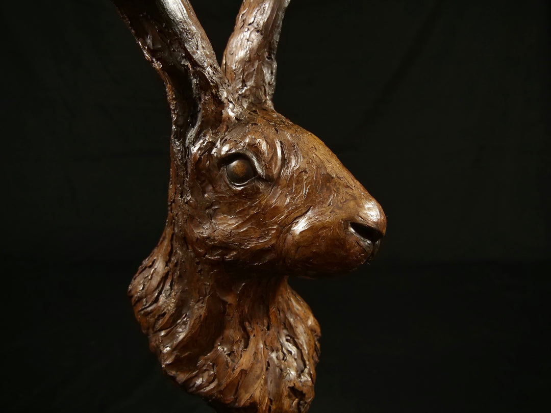 Cold cast bronze sculpture of a hare titled Aurora by Jamie Lord — finely detailed woodland animal bust with upright alert ears, rich earthy bronze surface and textured fur. Limited edition of 12 (also available in cast marble), signed and certified.