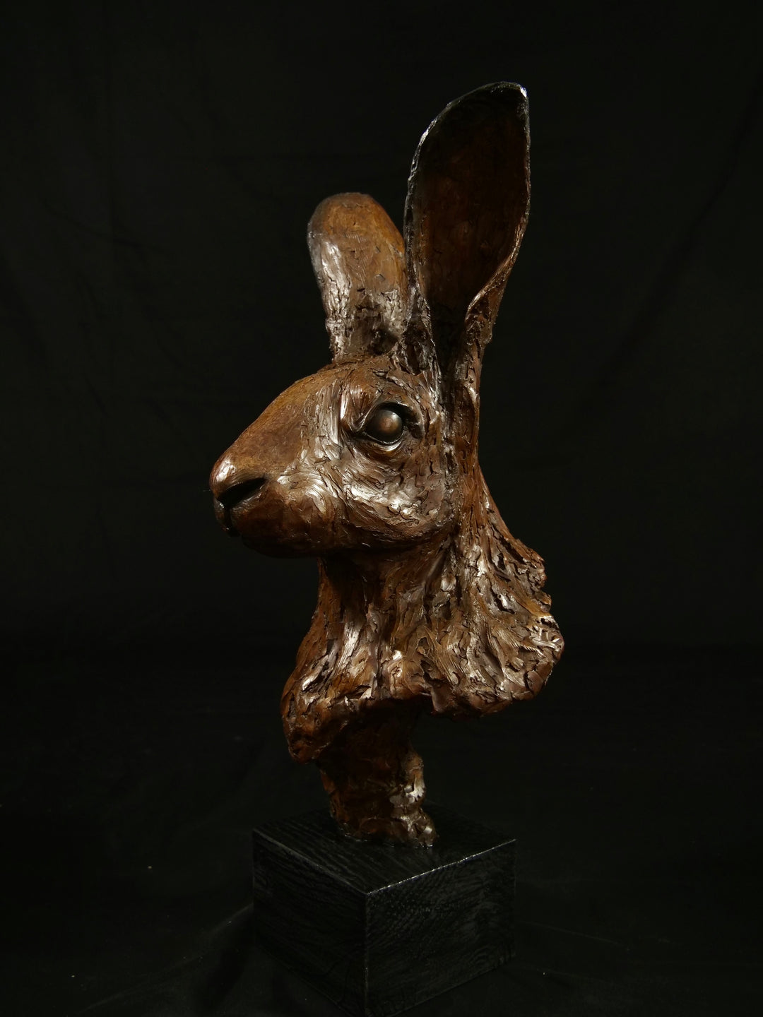 Cold cast bronze sculpture of a hare titled Aurora by Jamie Lord — finely detailed woodland animal bust with upright alert ears, rich earthy bronze surface and textured fur. Limited edition of 12 (also available in cast marble), signed and certified.