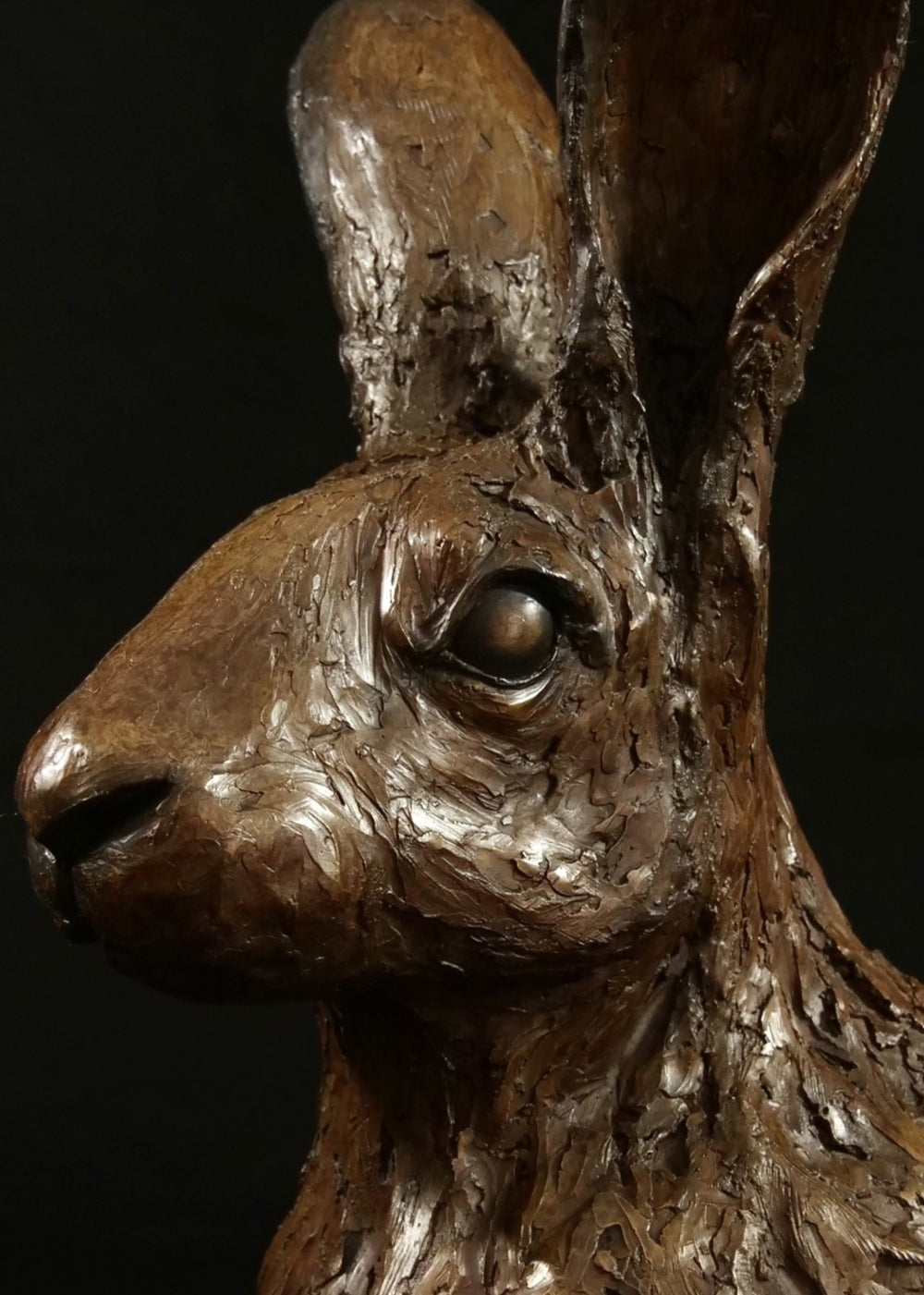 Cold cast bronze sculpture of a hare titled Aurora by Jamie Lord — finely detailed woodland animal bust with upright alert ears, rich earthy bronze surface and textured fur. Limited edition of 12 (also available in cast marble), signed and certified.