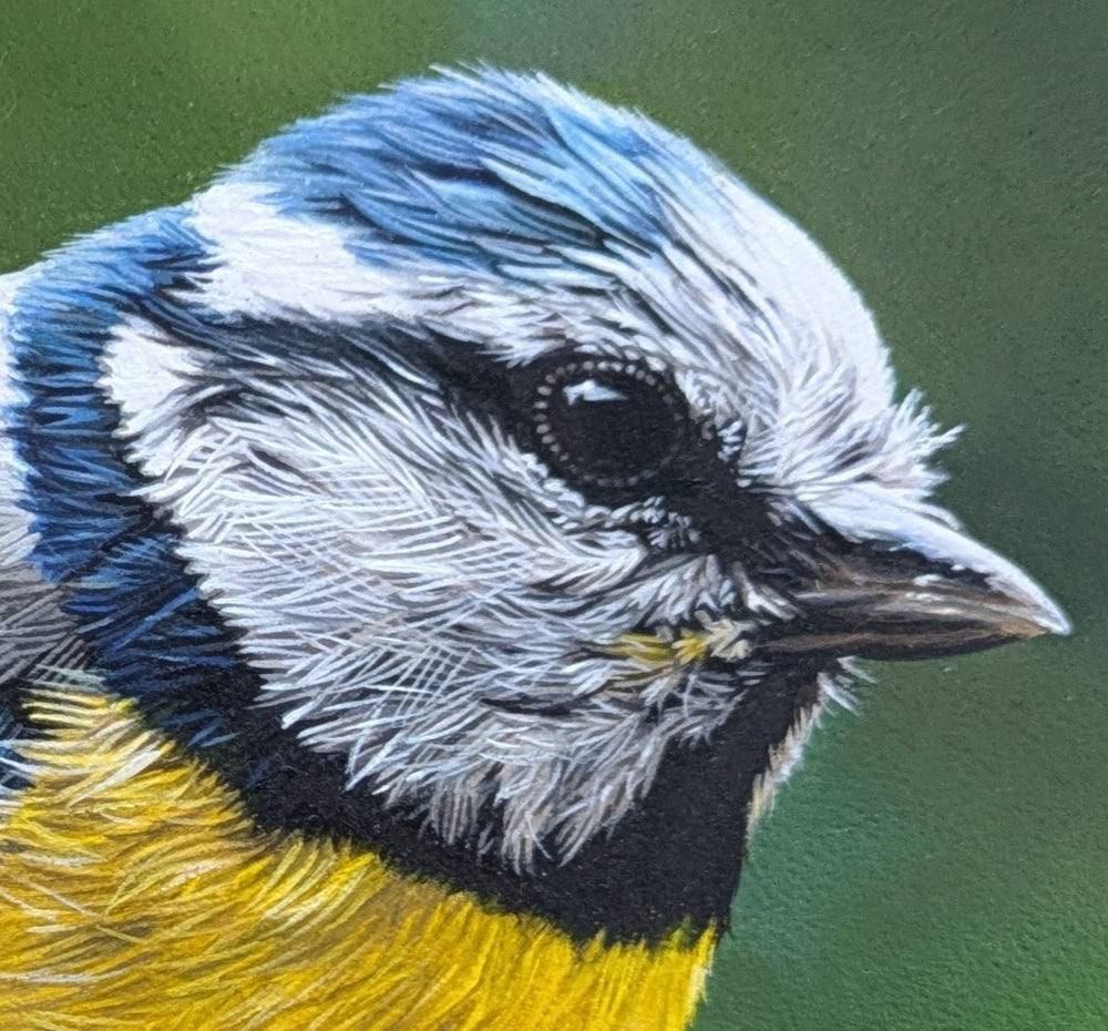 Hyperrealistic oil painting of a bluetit perched on a textured branch, showcasing fine feather detail in shades of vibrant blue, lemon yellow, white and grey, set against a soft-focus green and gold natural background.