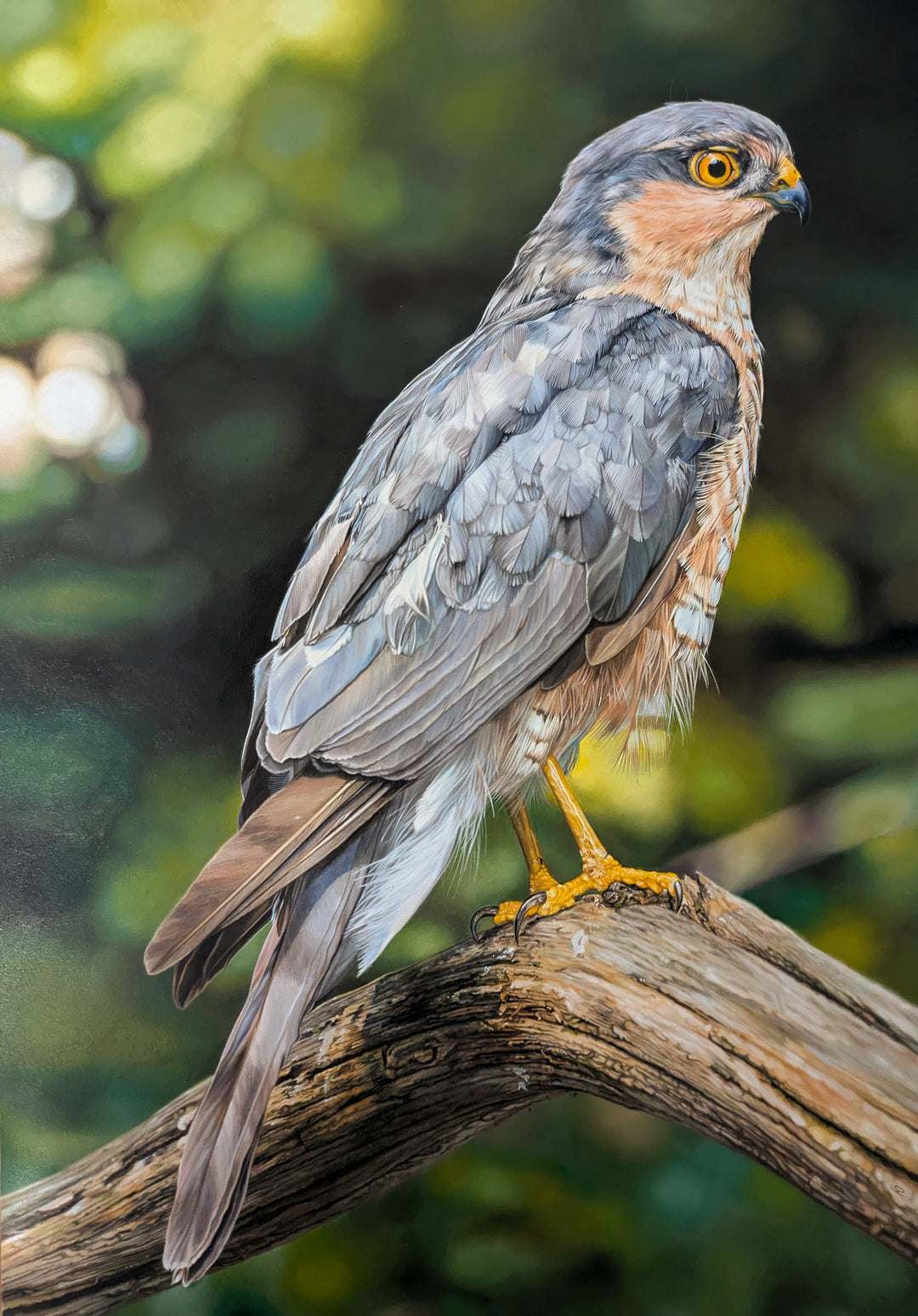 Hyperrealistic oil painting of a sparrowhawk perched on a textured tree branch, its piercing yellow eye and intricate feather pattern rendered in extraordinary detail. The backdrop of soft-focus woodland greens enhances the raptor’s striking presence.