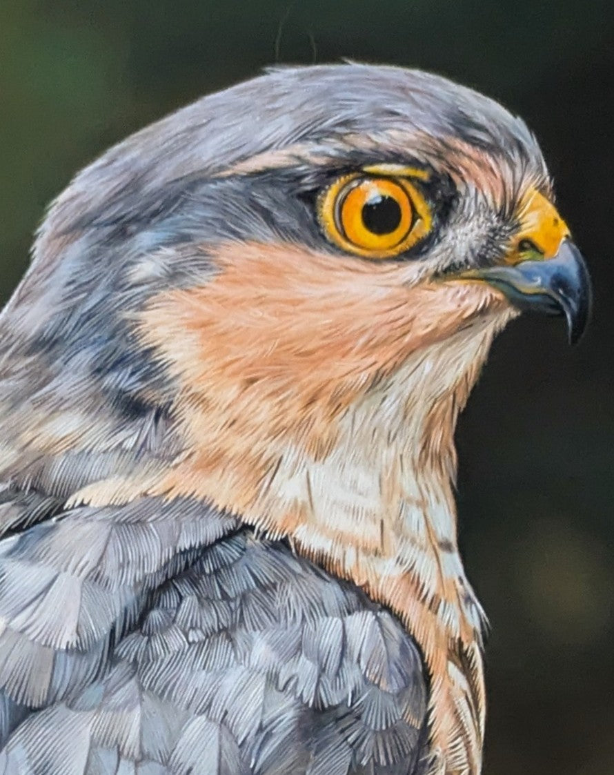 Hyperrealistic oil painting of a sparrowhawk perched on a textured tree branch, its piercing yellow eye and intricate feather pattern rendered in extraordinary detail. The backdrop of soft-focus woodland greens enhances the raptor’s striking presence.