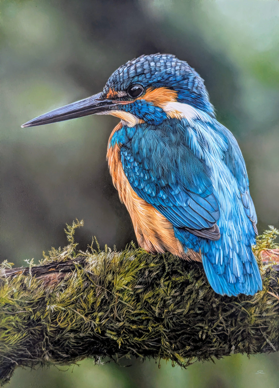Hyperrealistic oil painting of a vibrant kingfisher perched on a moss-covered branch, showcasing its iridescent blue feathers, rich orange chest, and sleek black beak against a softly blurred green background.