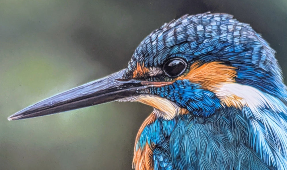 Hyperrealistic oil painting of a vibrant kingfisher perched on a moss-covered branch, showcasing its iridescent blue feathers, rich orange chest, and sleek black beak against a softly blurred green background.